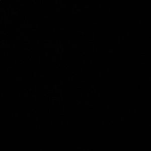 Meet your Posher, Ash